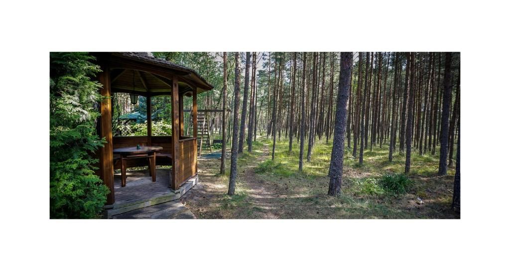 Дома для отпуска Forest Cottage Неринга