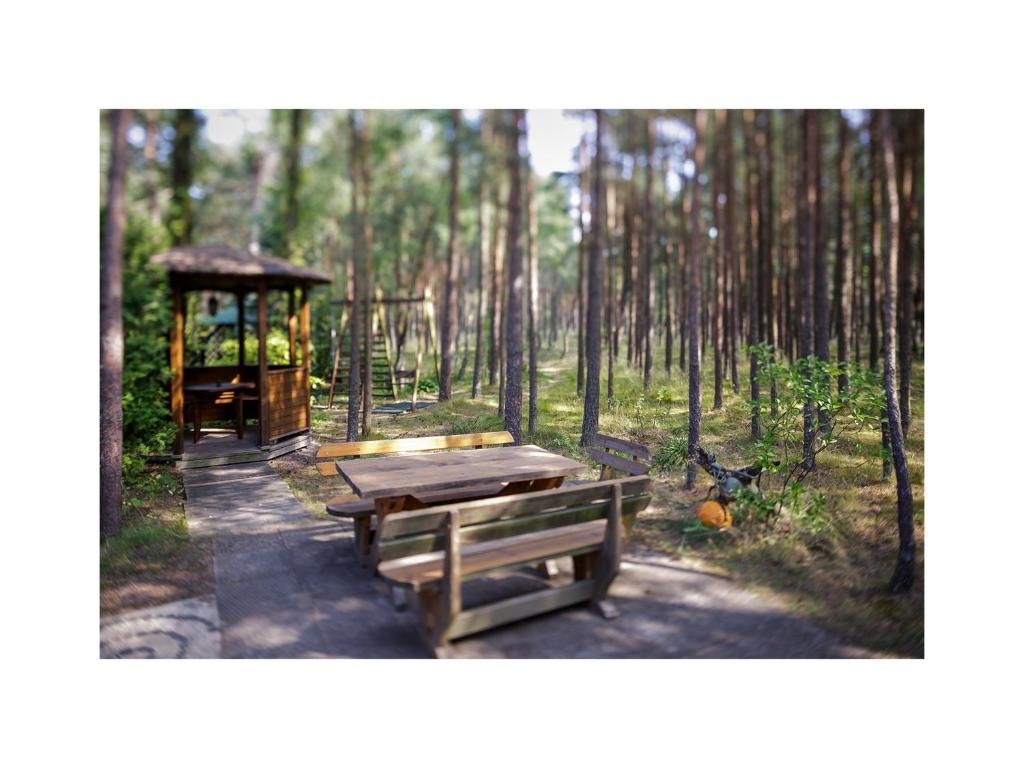 Дома для отпуска Forest Cottage Неринга