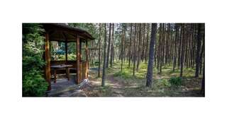 Дома для отпуска Forest Cottage Неринга Дом с 2 спальнями-28