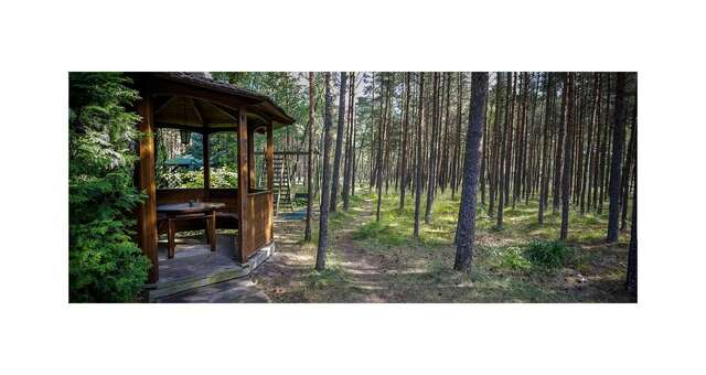 Дома для отпуска Forest Cottage Неринга-9